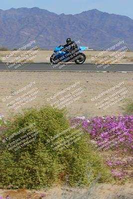 media/Mar-12-2023-SoCal Trackdays (Sun) [[d4c8249724]]/Turn 15 Inside Bloom (130pm)/